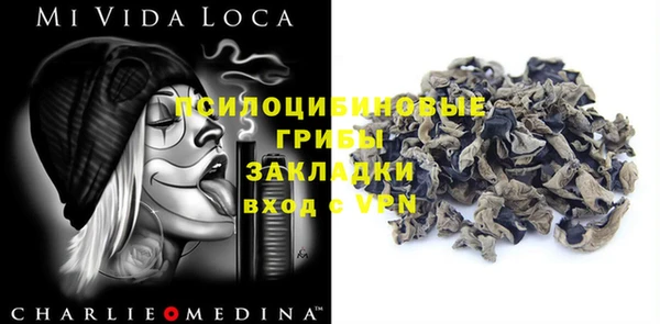 прущие грибы Абинск
