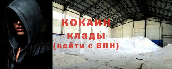 прущие грибы Абинск