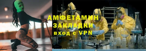 прущие грибы Абинск