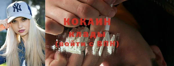 прущие грибы Абинск