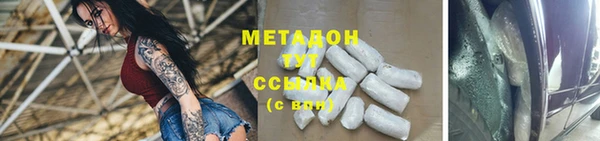 прущие грибы Абинск