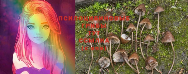 стафф Абдулино