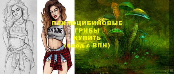 прущие грибы Абинск