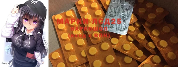 прущие грибы Абинск